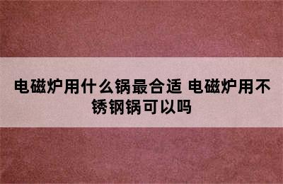 电磁炉用什么锅最合适 电磁炉用不锈钢锅可以吗